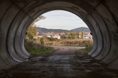 01_MGL6859